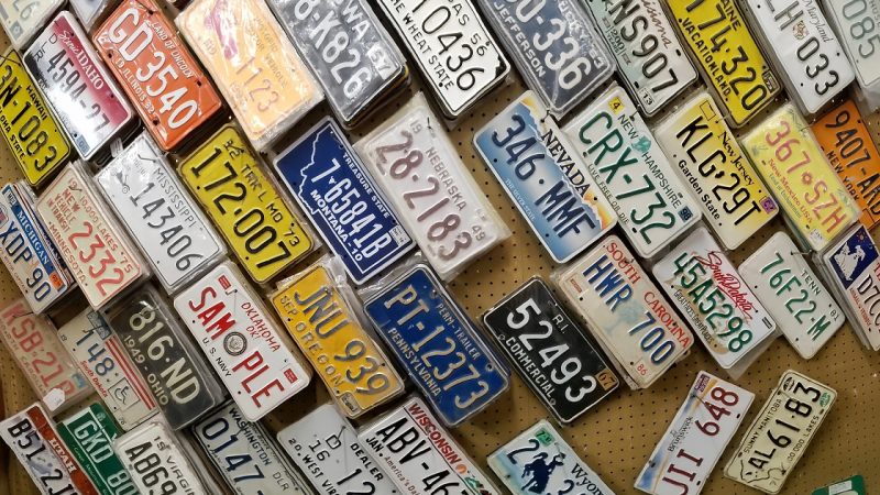 Top 5 Gifts for Plate Collectors